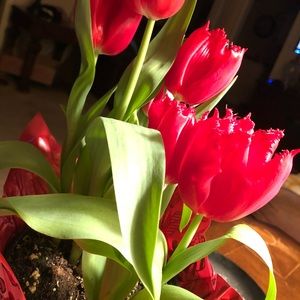 Meet your Posher, Sshaylie